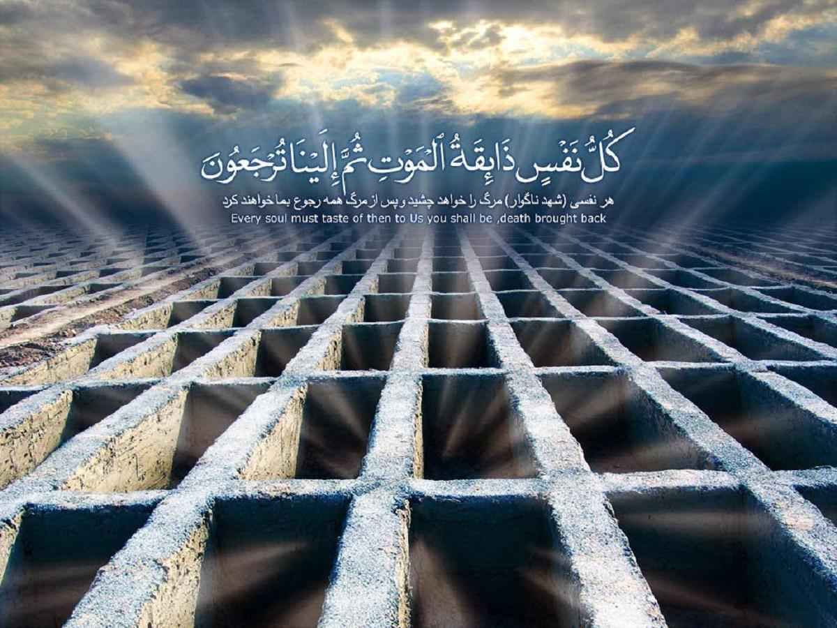 زندگی پس از مرگ
